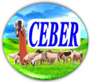 logo_ceber.jpg